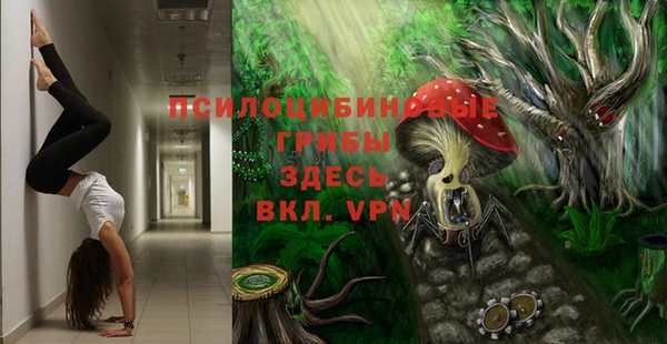СК Богородицк