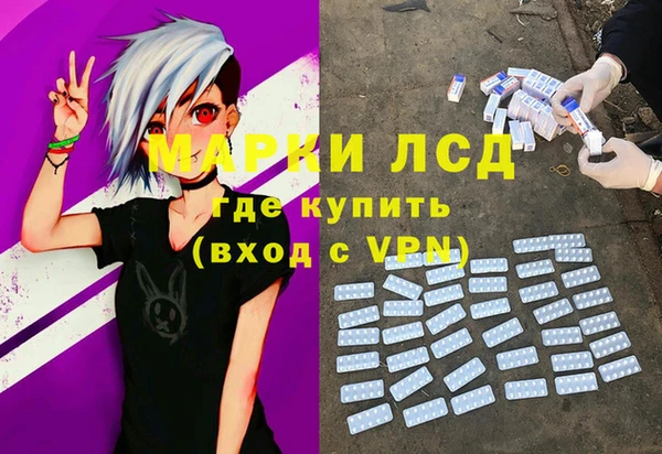 стафф Богданович