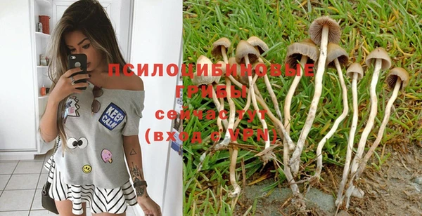 мяу мяу кристалл Рославль
